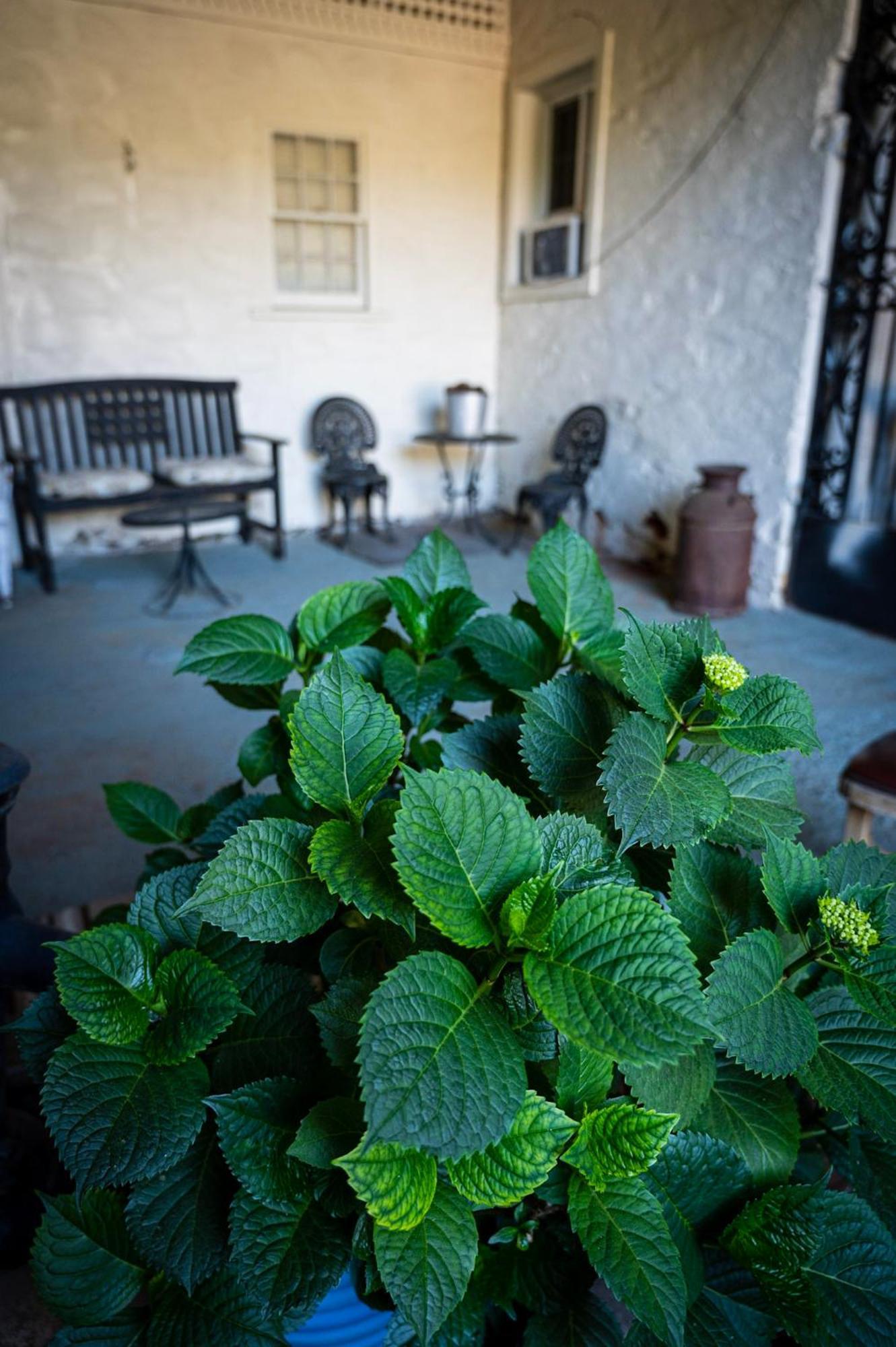 Gunn House Hotel Sonora Extérieur photo